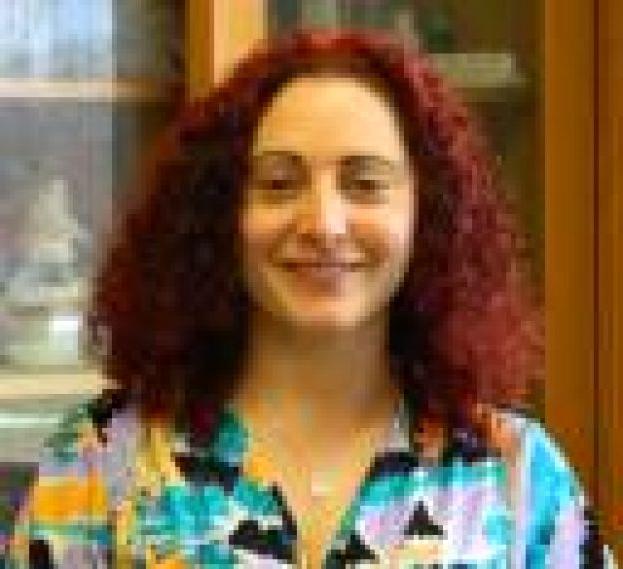 Professor Janovitz-Freireich invited to participate in workshop in Arizona